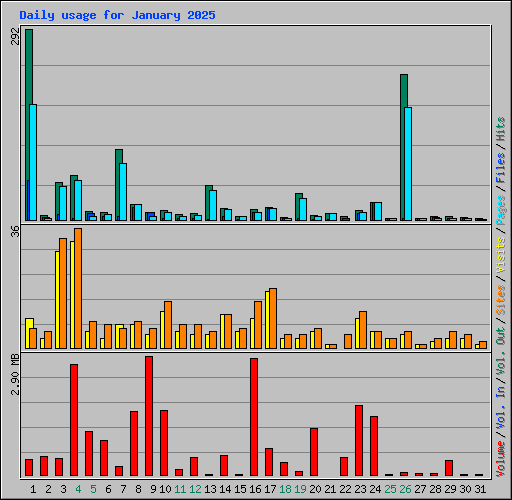 Daily usage for January 2025