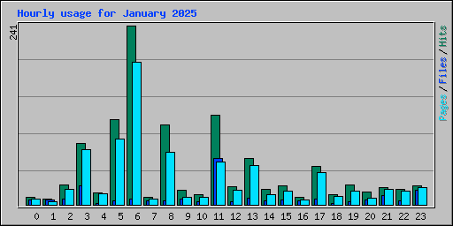 Hourly usage for January 2025