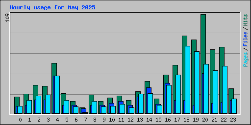 Hourly usage for May 2025