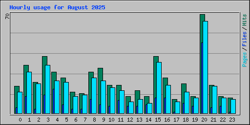 Hourly usage for August 2025
