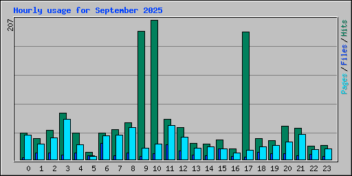 Hourly usage for September 2025