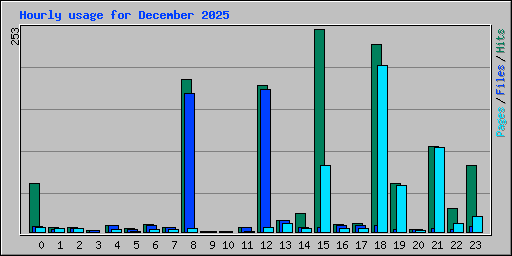 Hourly usage for December 2025
