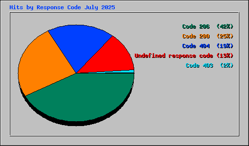 Hits by Response Code July 2025