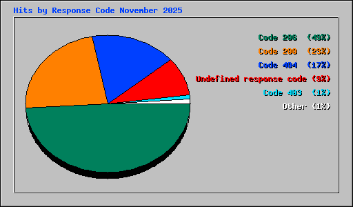 Hits by Response Code November 2025