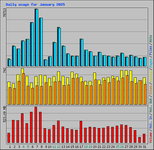 Daily usage for January 2025