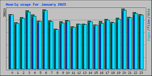 Hourly usage for January 2025