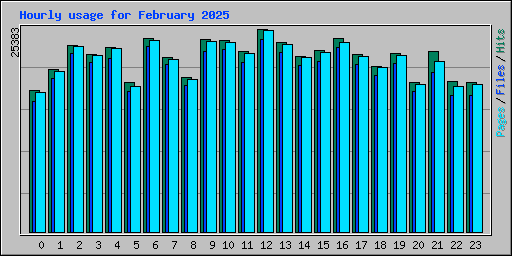 Hourly usage for February 2025