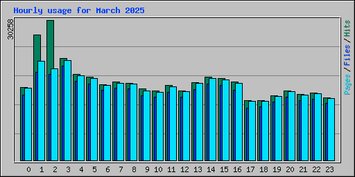 Hourly usage for March 2025