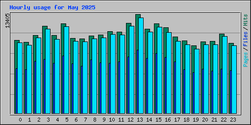 Hourly usage for May 2025