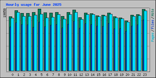 Hourly usage for June 2025