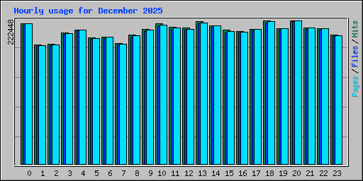 Hourly usage for December 2025