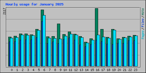 Hourly usage for January 2025