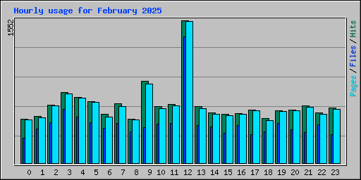 Hourly usage for February 2025