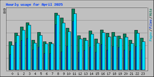 Hourly usage for April 2025