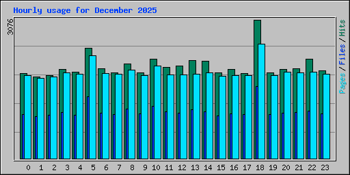Hourly usage for December 2025