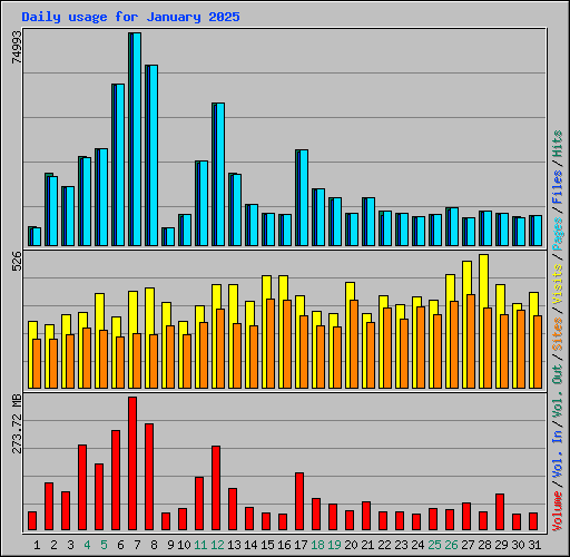 Daily usage for January 2025