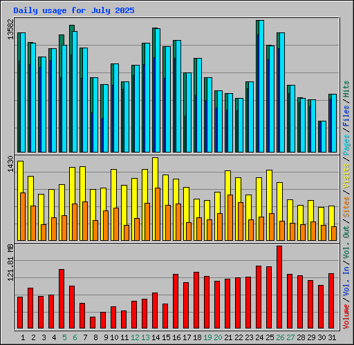 Daily usage for July 2025