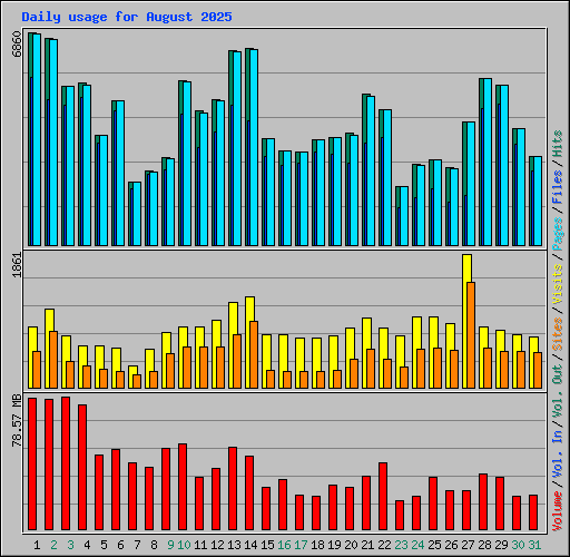 Daily usage for August 2025