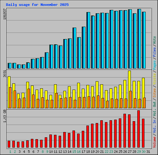 Daily usage for November 2025