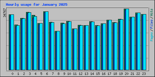 Hourly usage for January 2025