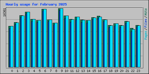 Hourly usage for February 2025