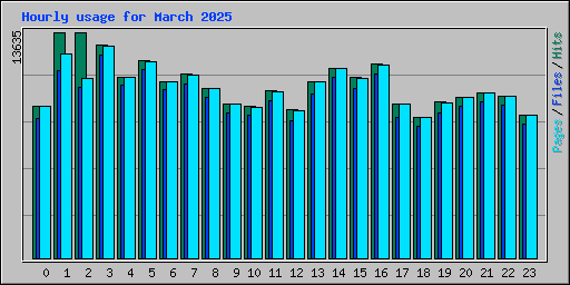 Hourly usage for March 2025