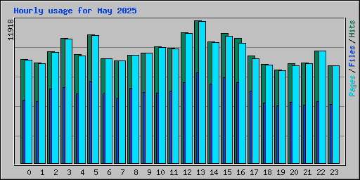 Hourly usage for May 2025