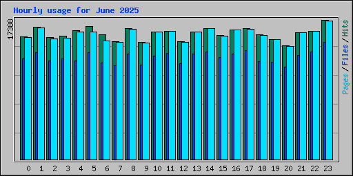 Hourly usage for June 2025