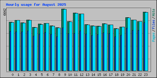 Hourly usage for August 2025