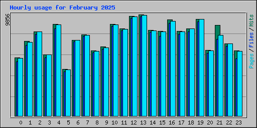 Hourly usage for February 2025