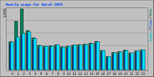 Hourly usage for March 2025