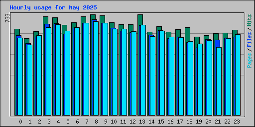 Hourly usage for May 2025