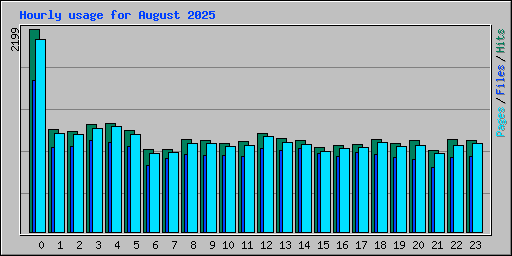 Hourly usage for August 2025